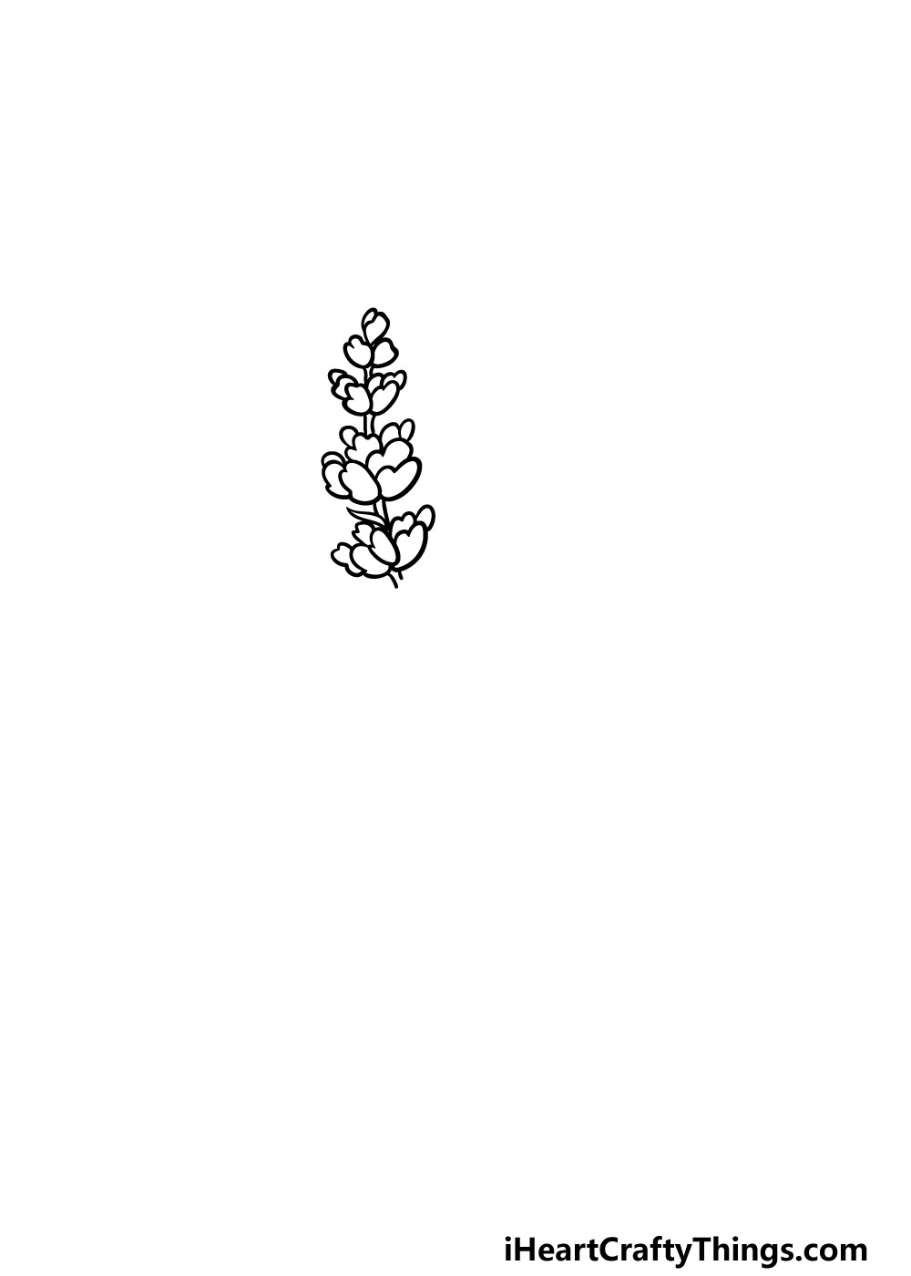 drawing lavender step 3
