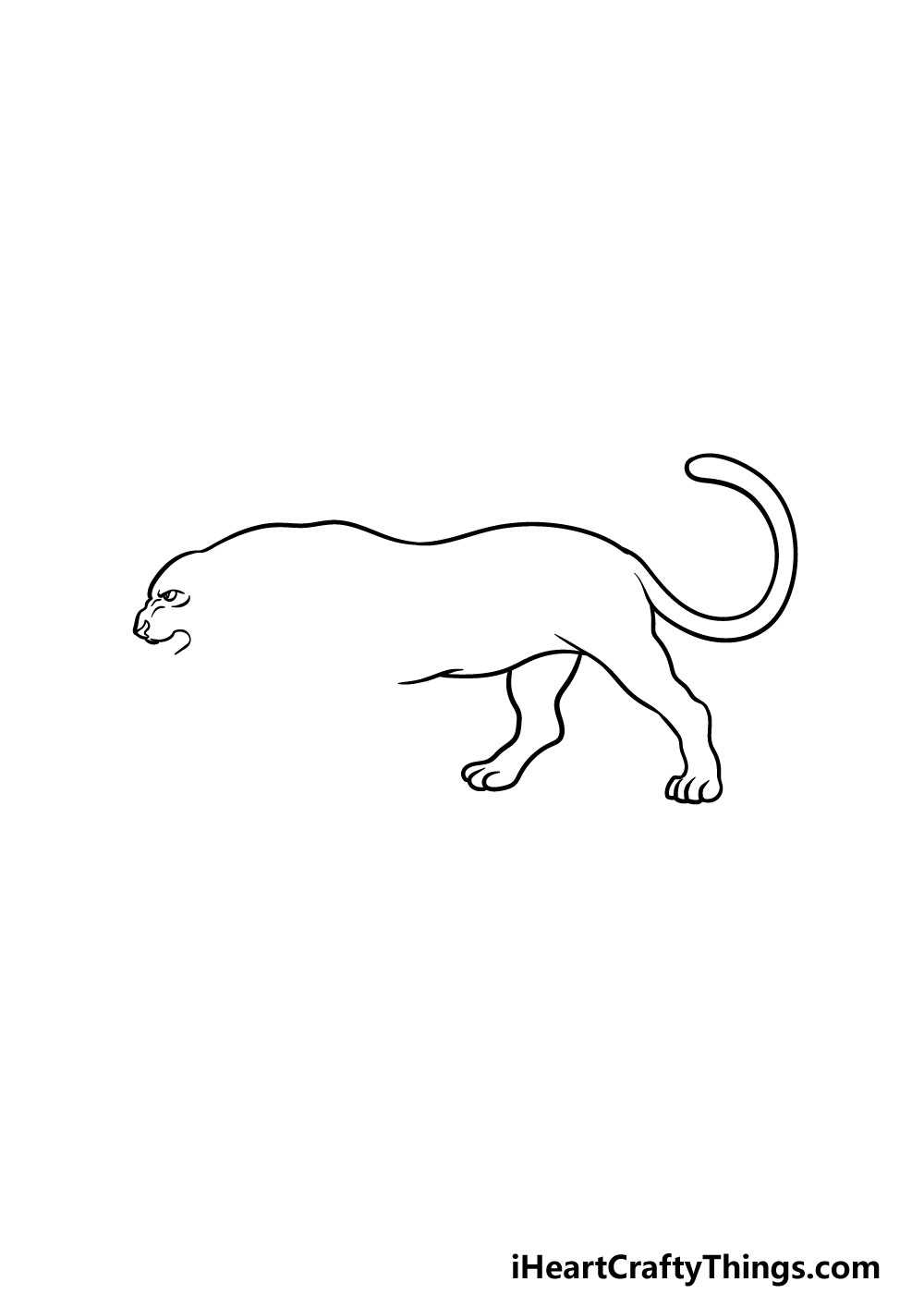 drawing a panther step 3