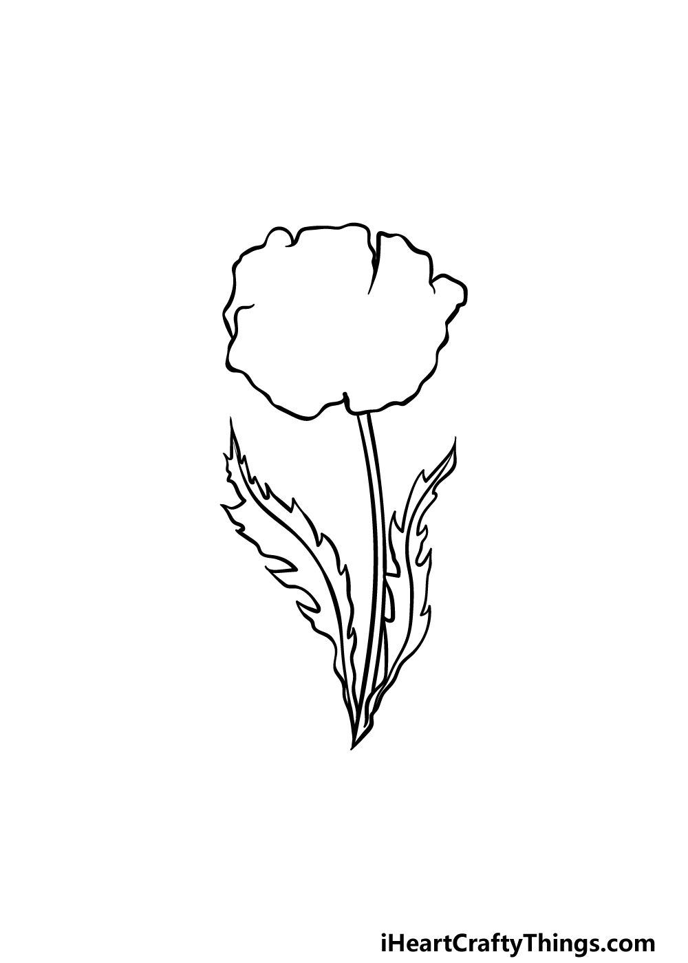 drawing a poppy step 3