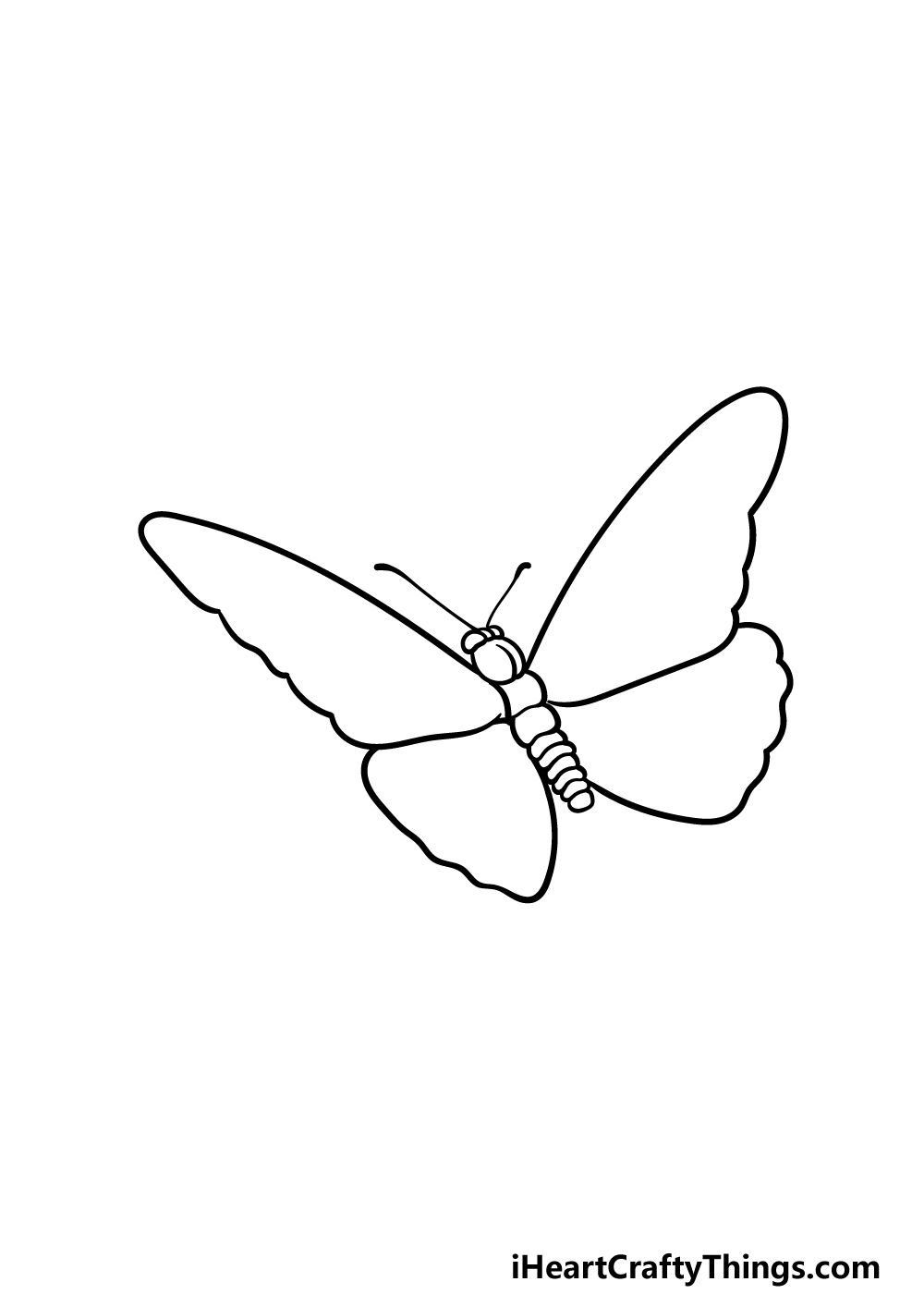 drawing Monarch Butterfly step 4