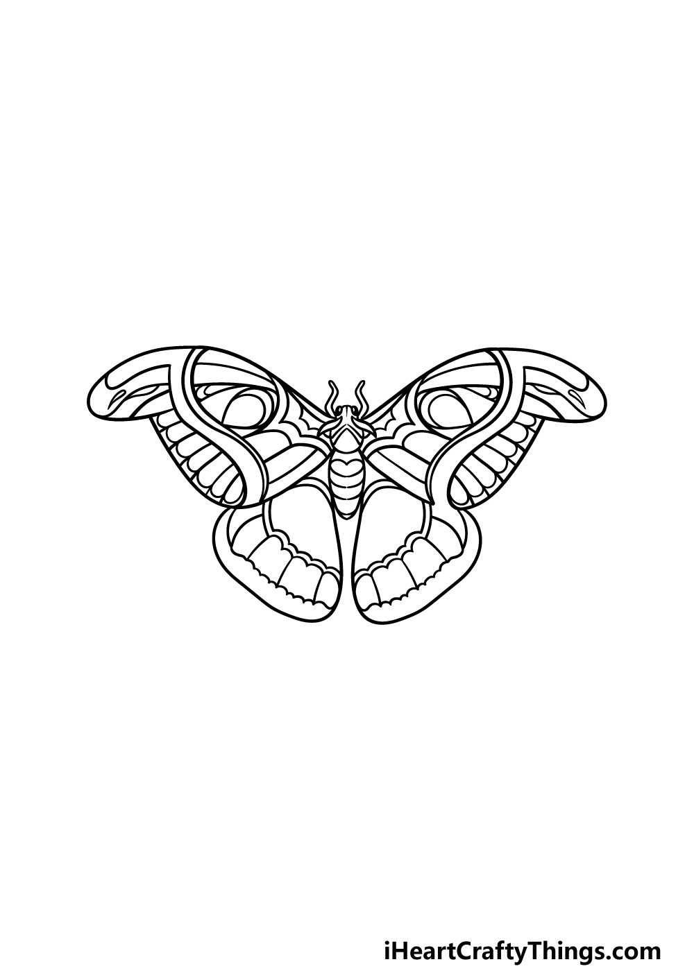 drawing a moth step 4