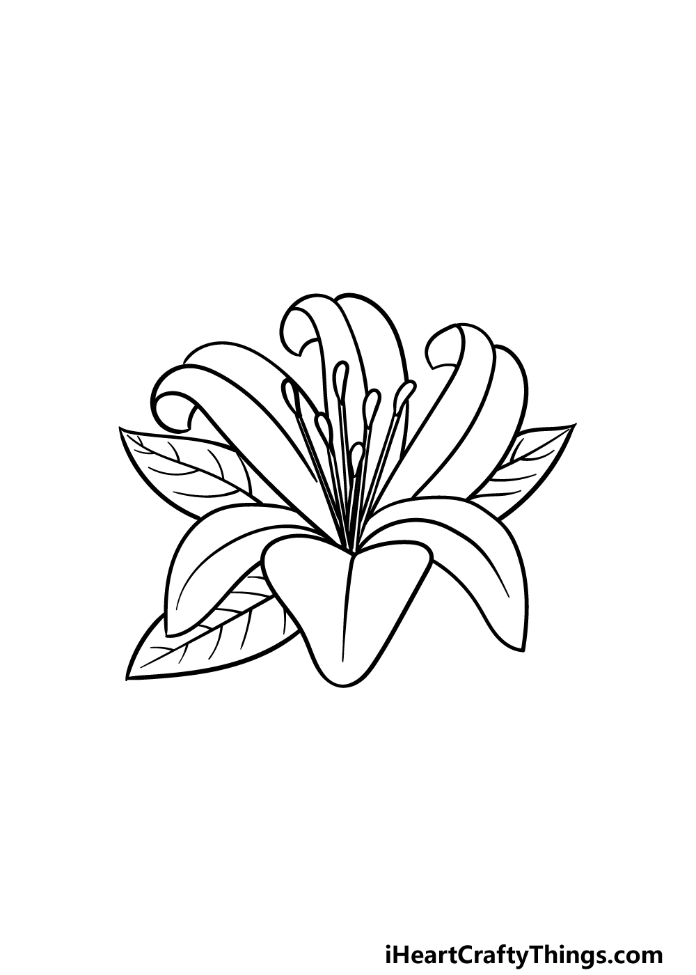 drawing Lily Flower step 4