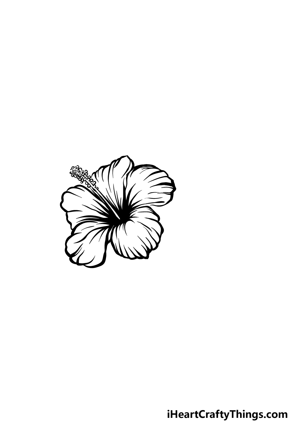 drawing hibiscus step 4