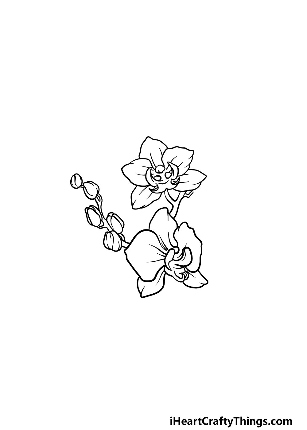 drawing an orchid step 4