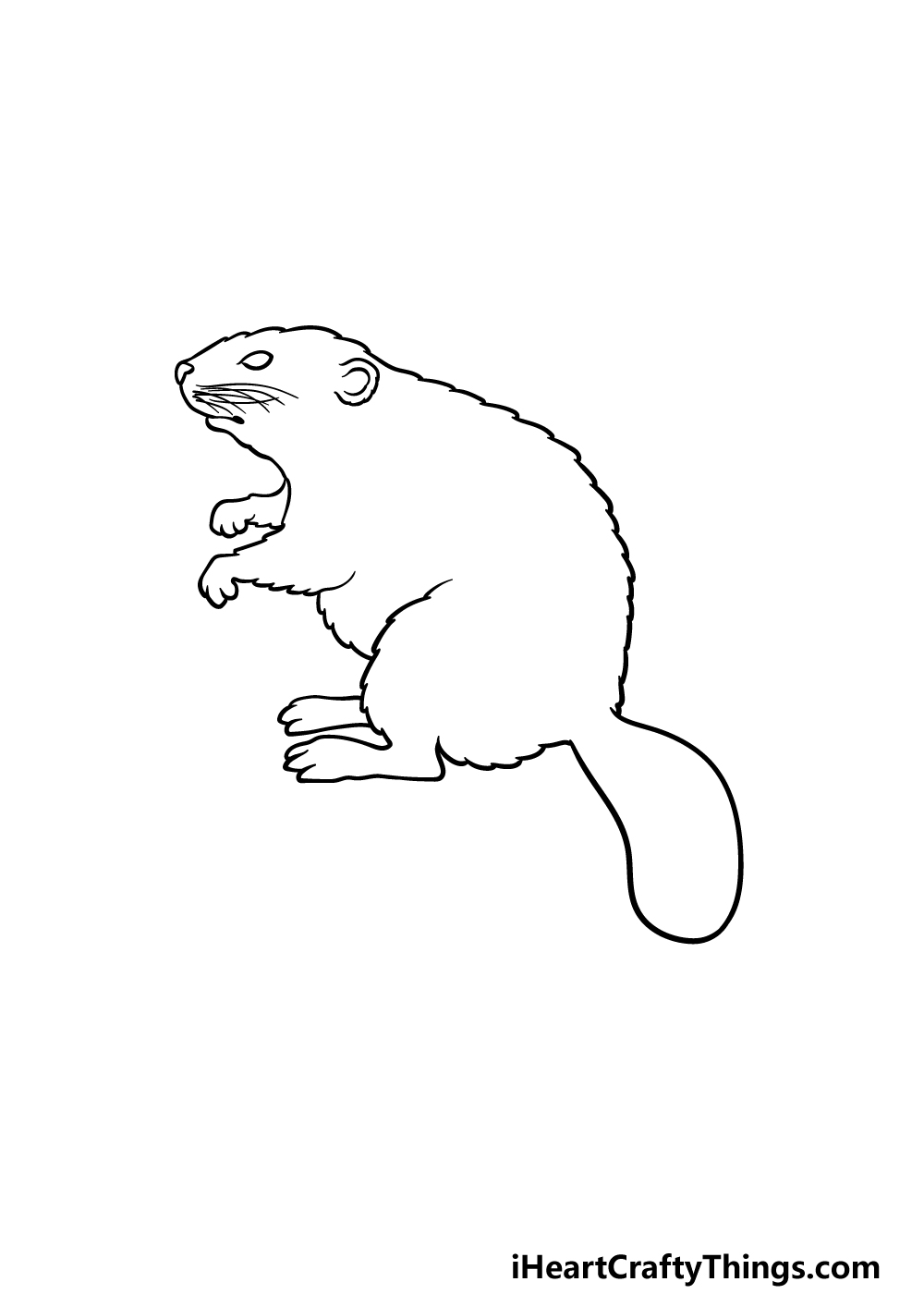 drawing a beaver step 4