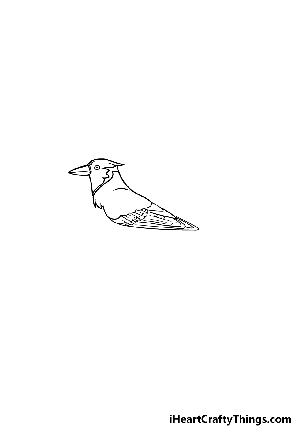 drawing a blue jay step 4