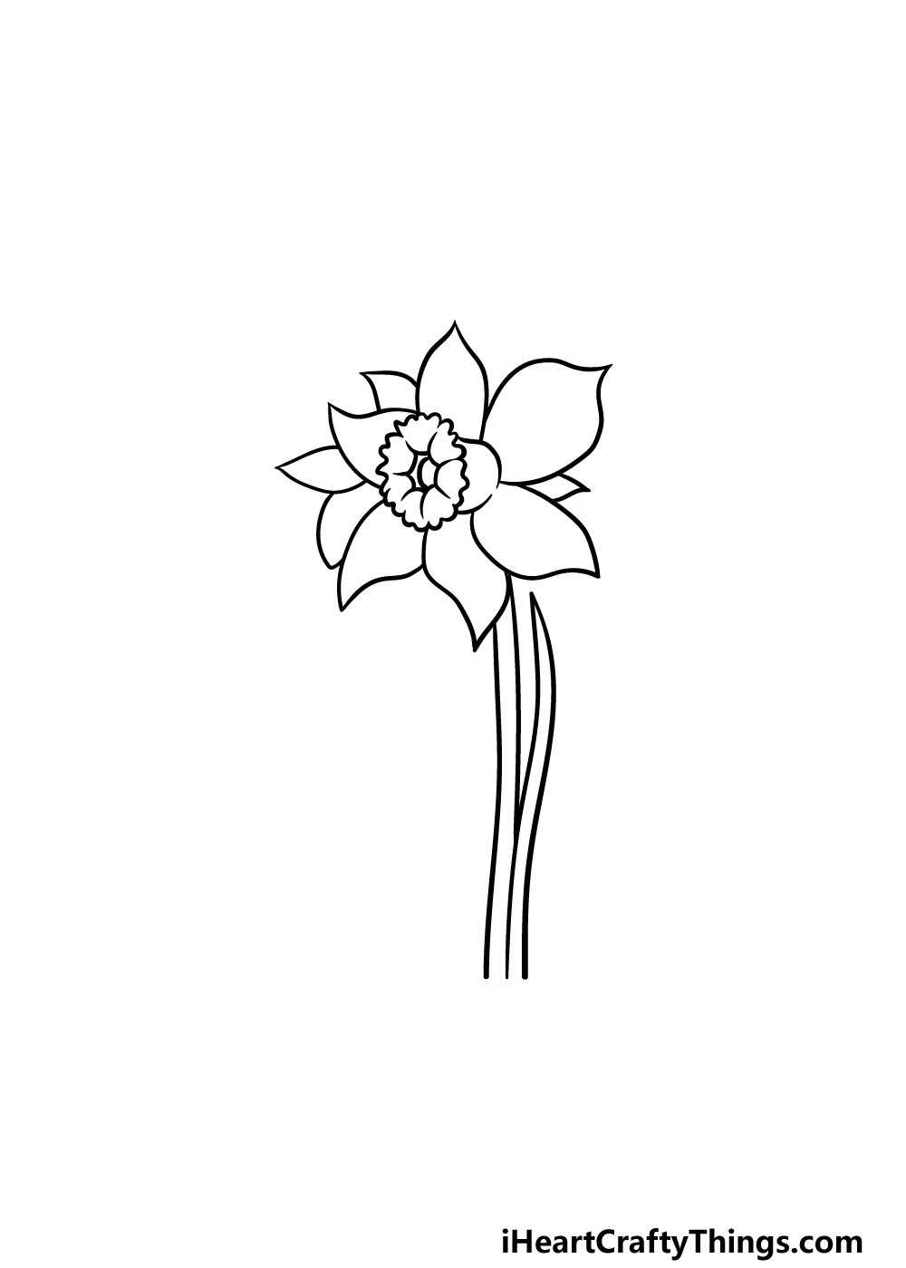 drawing a daffodil step 4