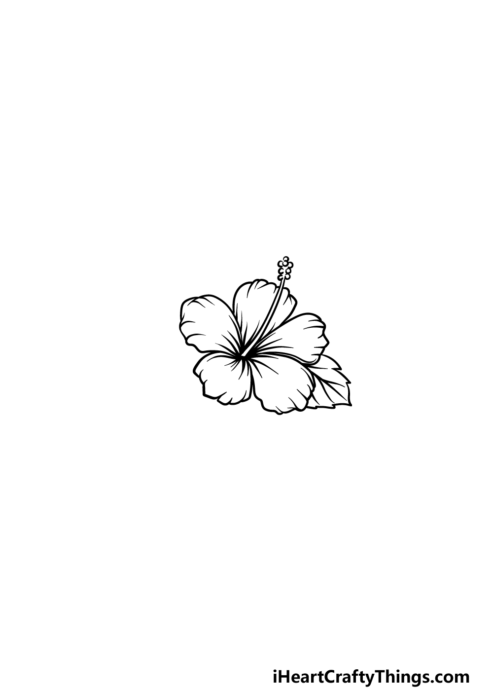 drawing Hawaiian Flower step 4