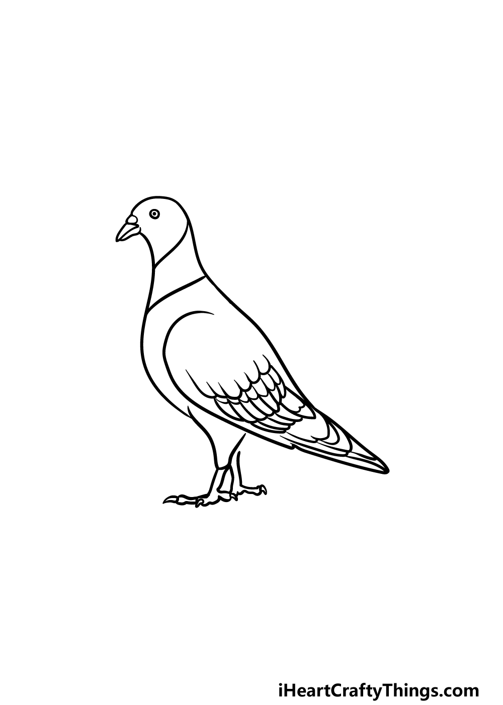 drawing a pigeon step 4