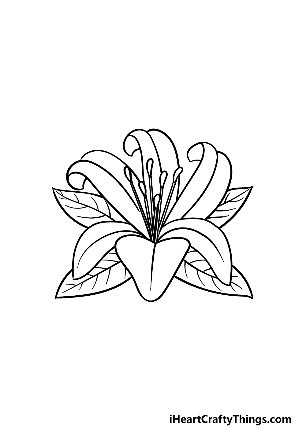 drawing Lily Flower step 5