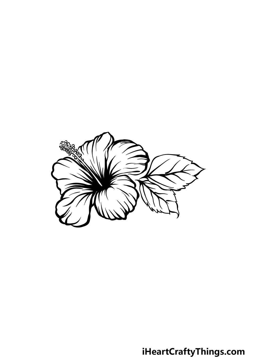 drawing hibiscus step 5