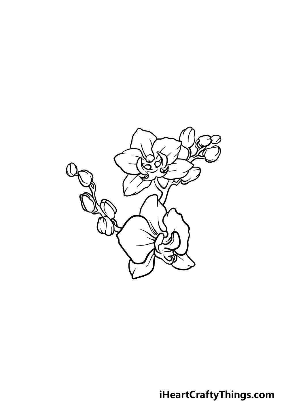 drawing an orchid step 5