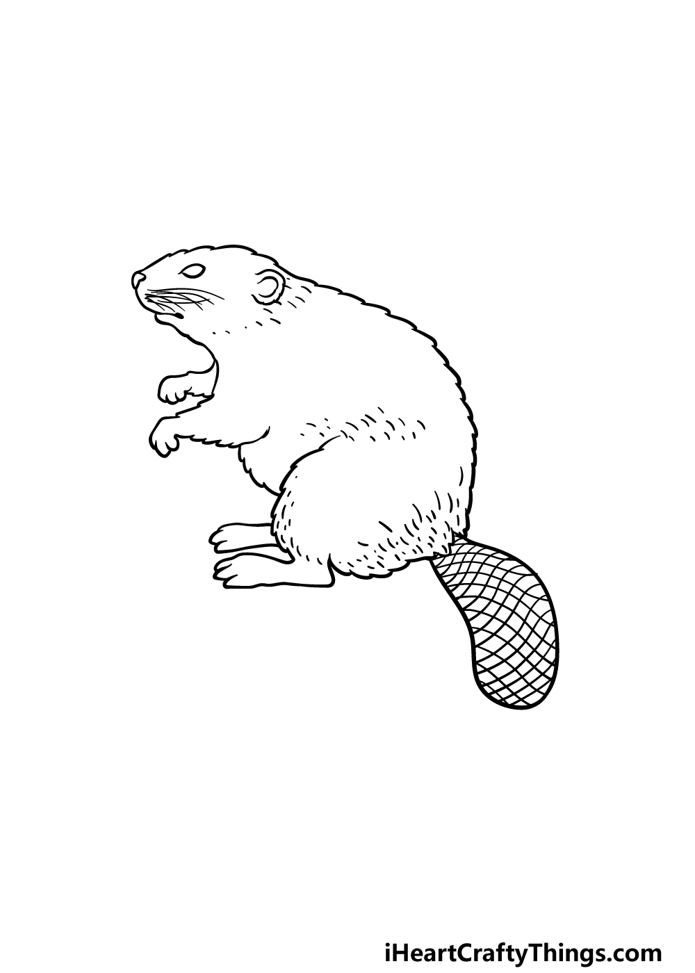 drawing a beaver step 5