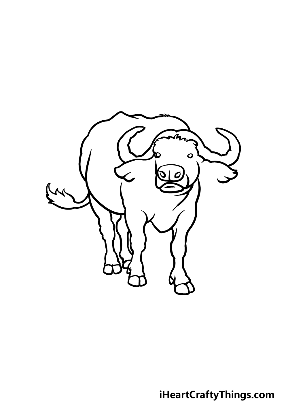 drawing buffalo step 5