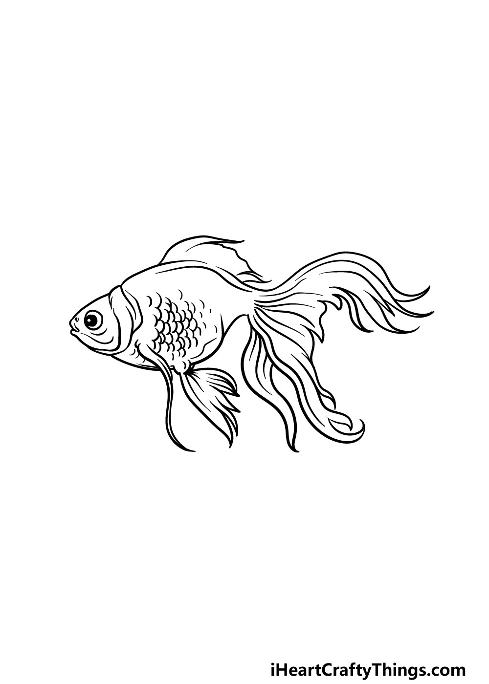 drawing a goldfish step 5