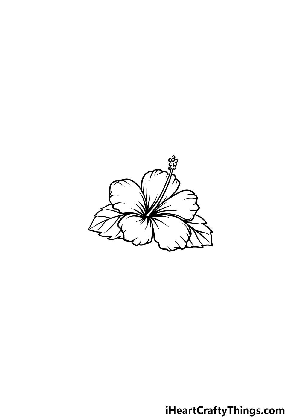 drawing Hawaiian Flower step 5