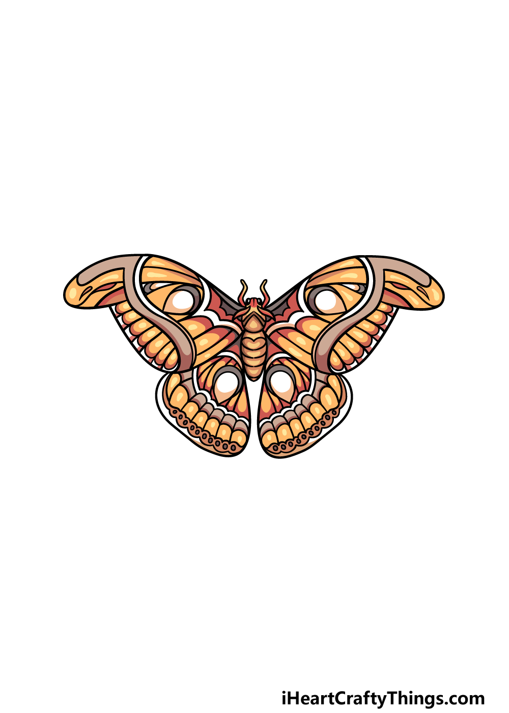 drawing a moth step 6