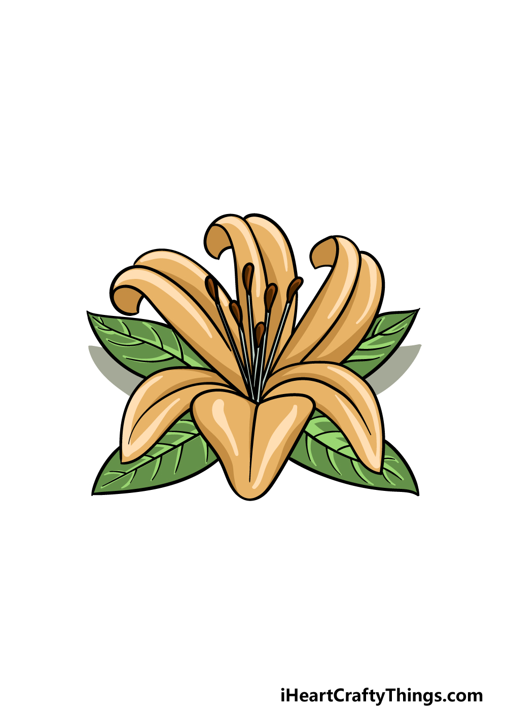 drawing Lily Flower step 6