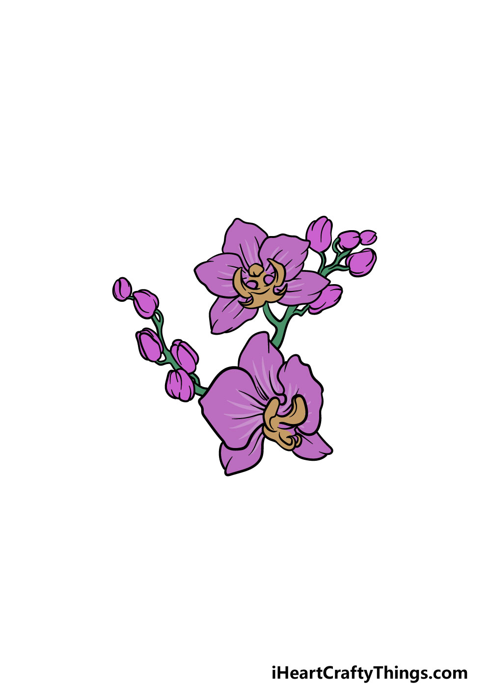 drawing an orchid step 6
