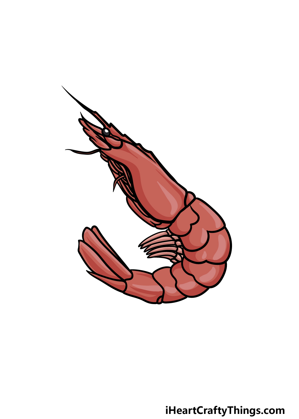 drawing a shrimp step 6