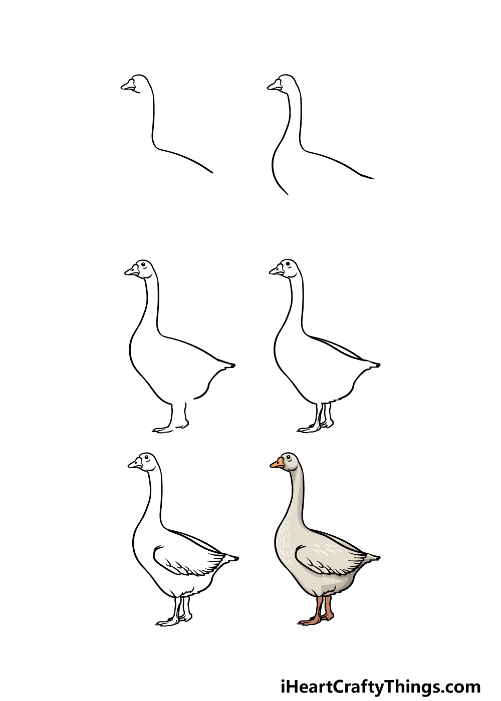 how to draw a goose in 6 steps