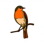 how to draw a robin image