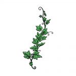 how to draw vines image