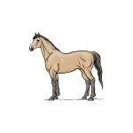 how to draw a horse image