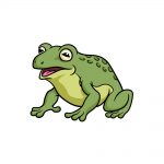 how to draw a toad image
