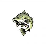 how to draw a bass image