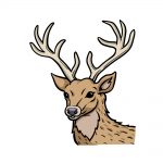 how to draw deer's head image