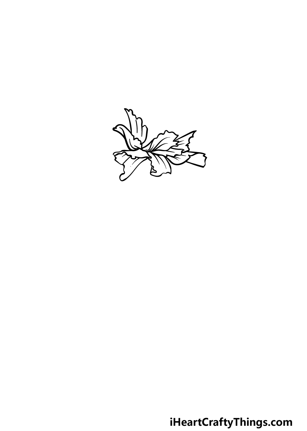 drawing carnation step 2