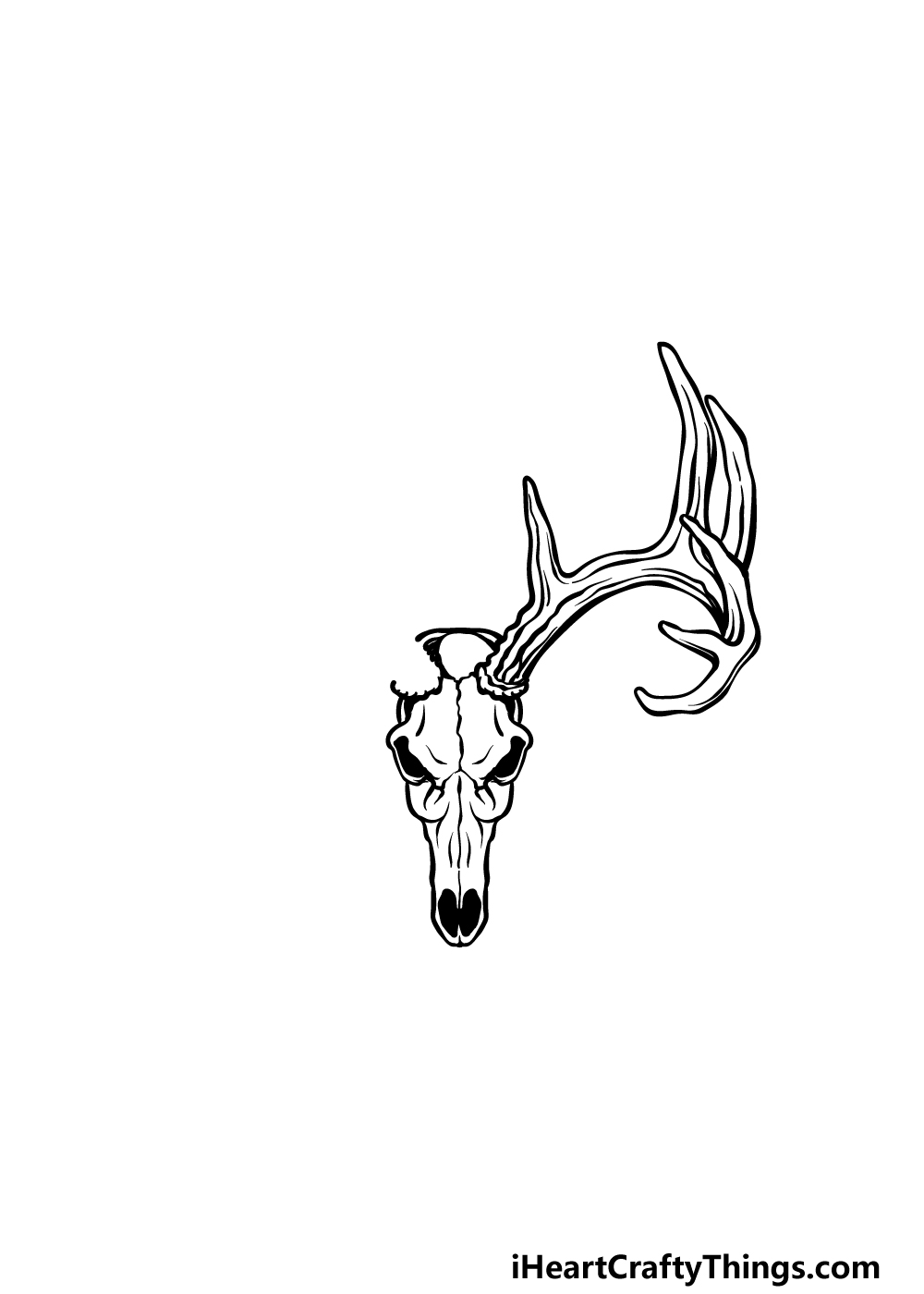 drawing a deer skull step 3