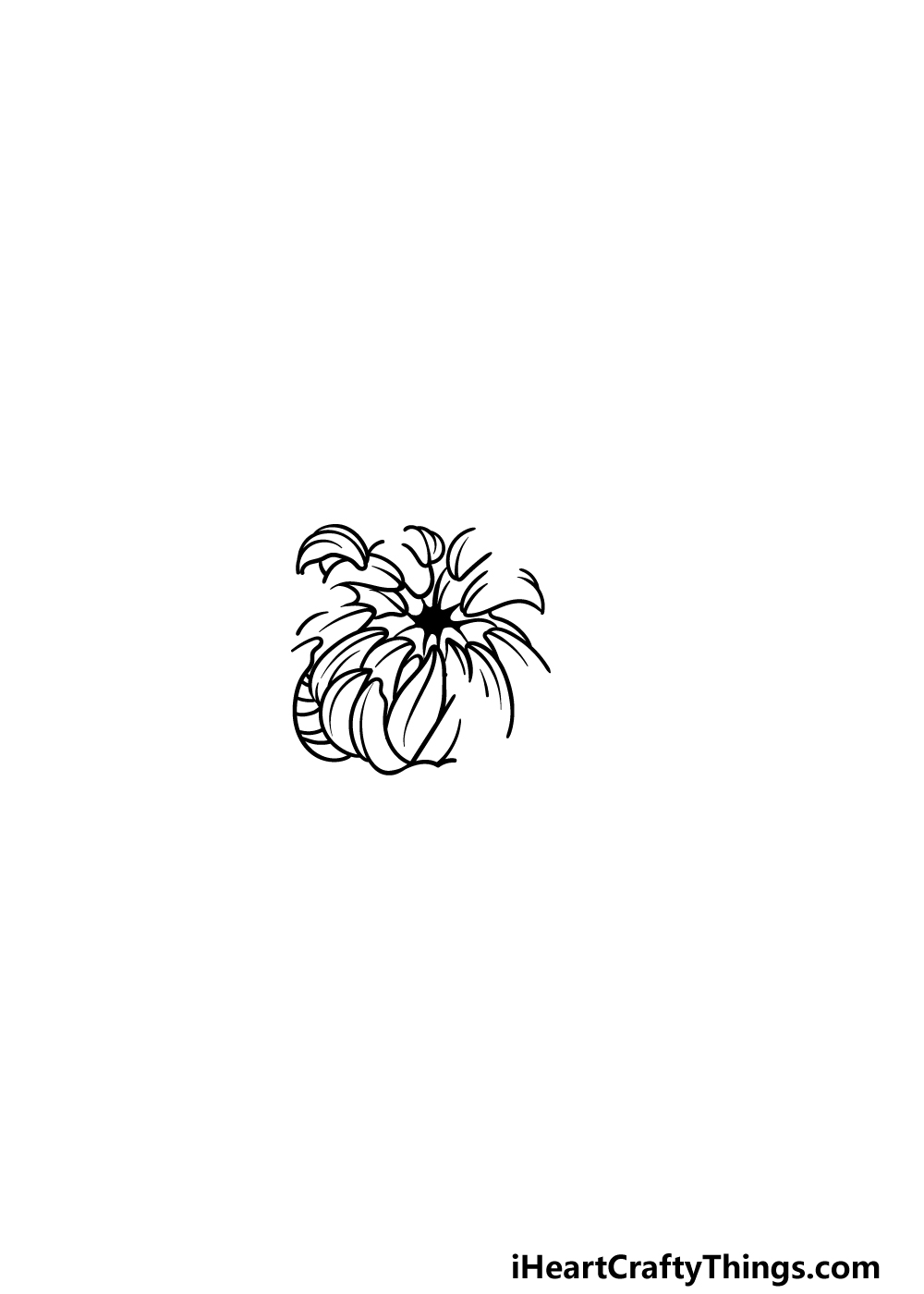 drawing Chrysanthemum step 3
