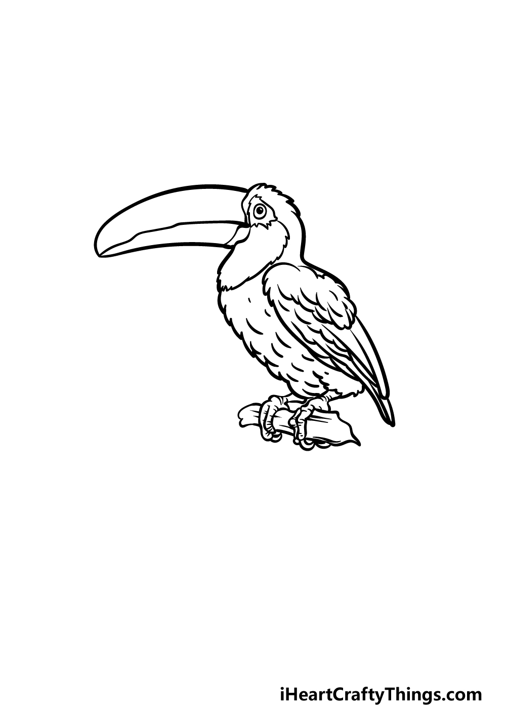 drawing a toucan step 4