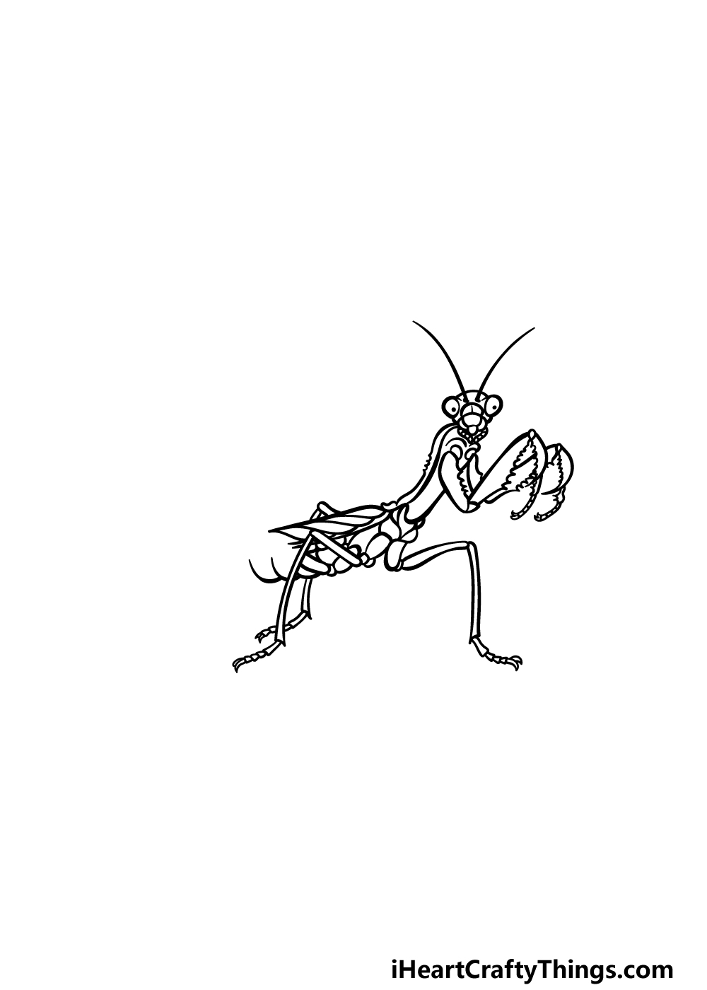 drawing an insect step 4