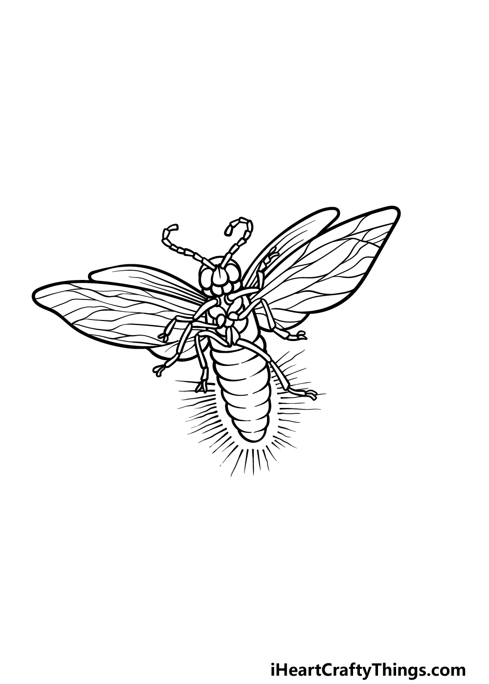 drawing a firefly step 5
