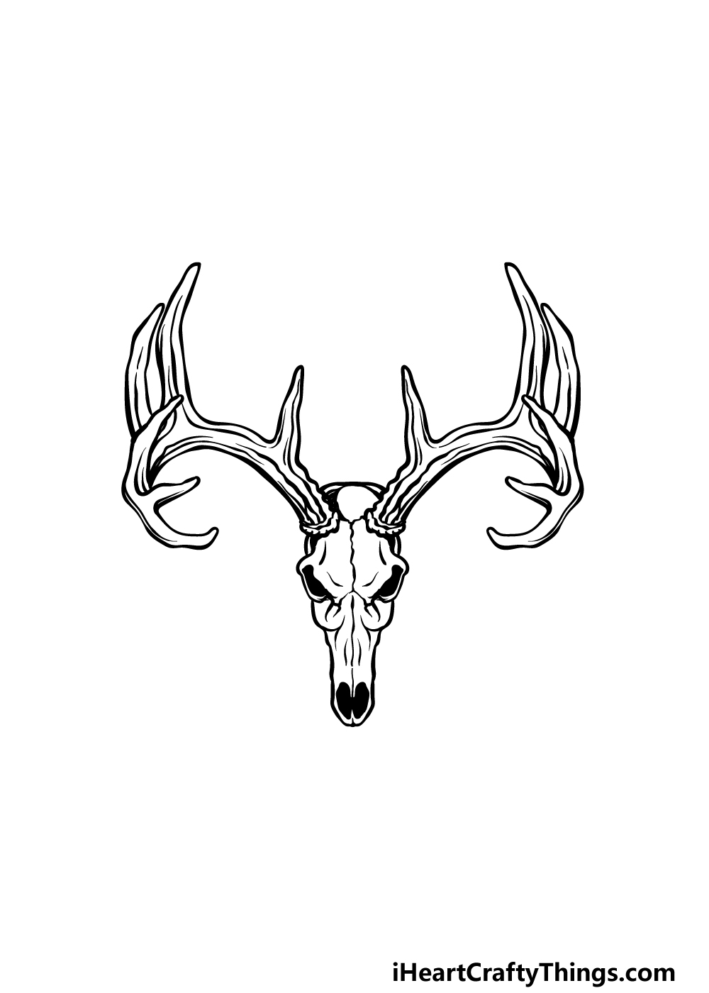 drawing a deer skull step 5