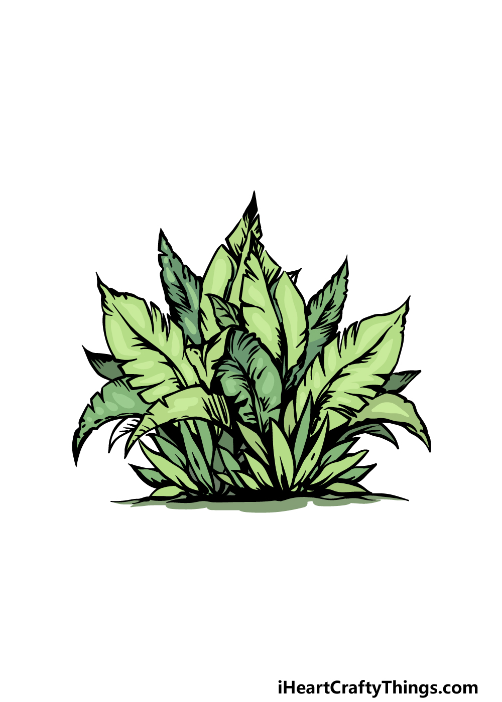 drawing a bush step 6
