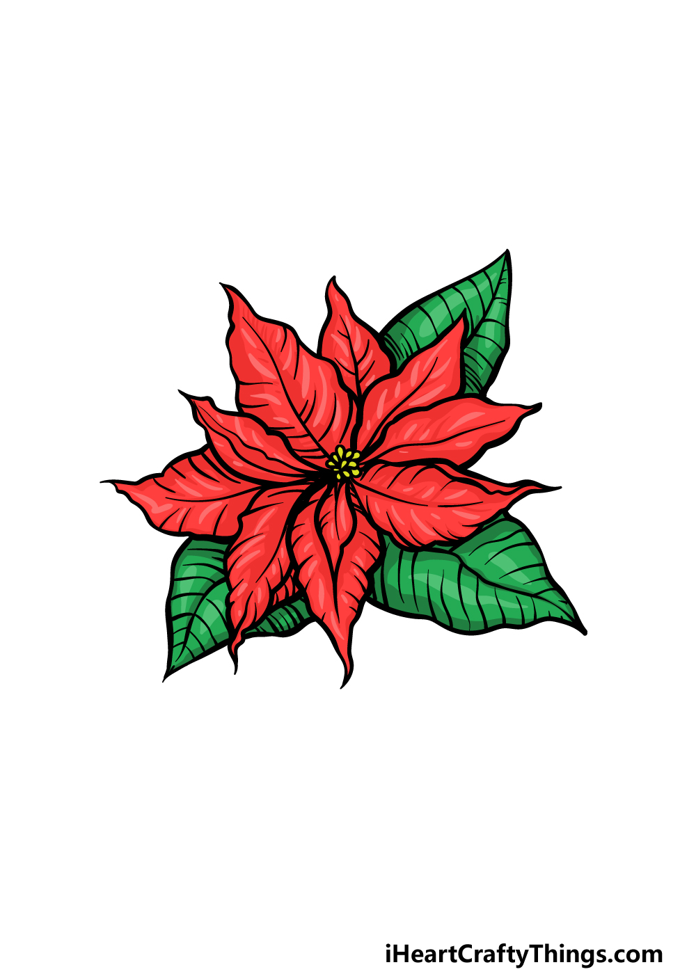 drawing poinsettia step 6
