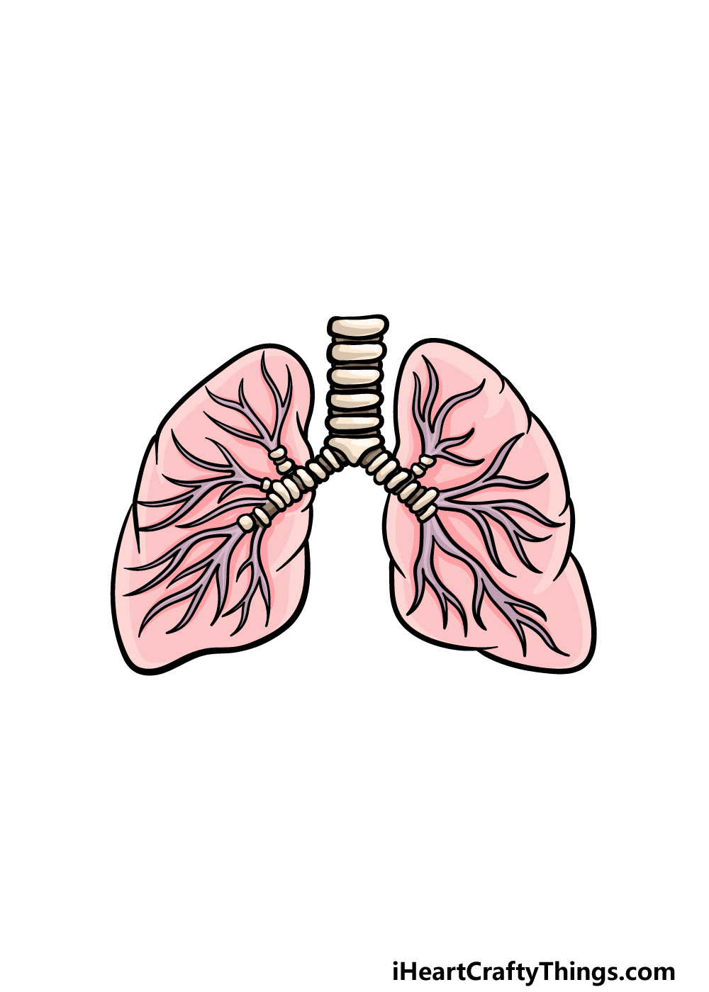 drawing lungs step 6