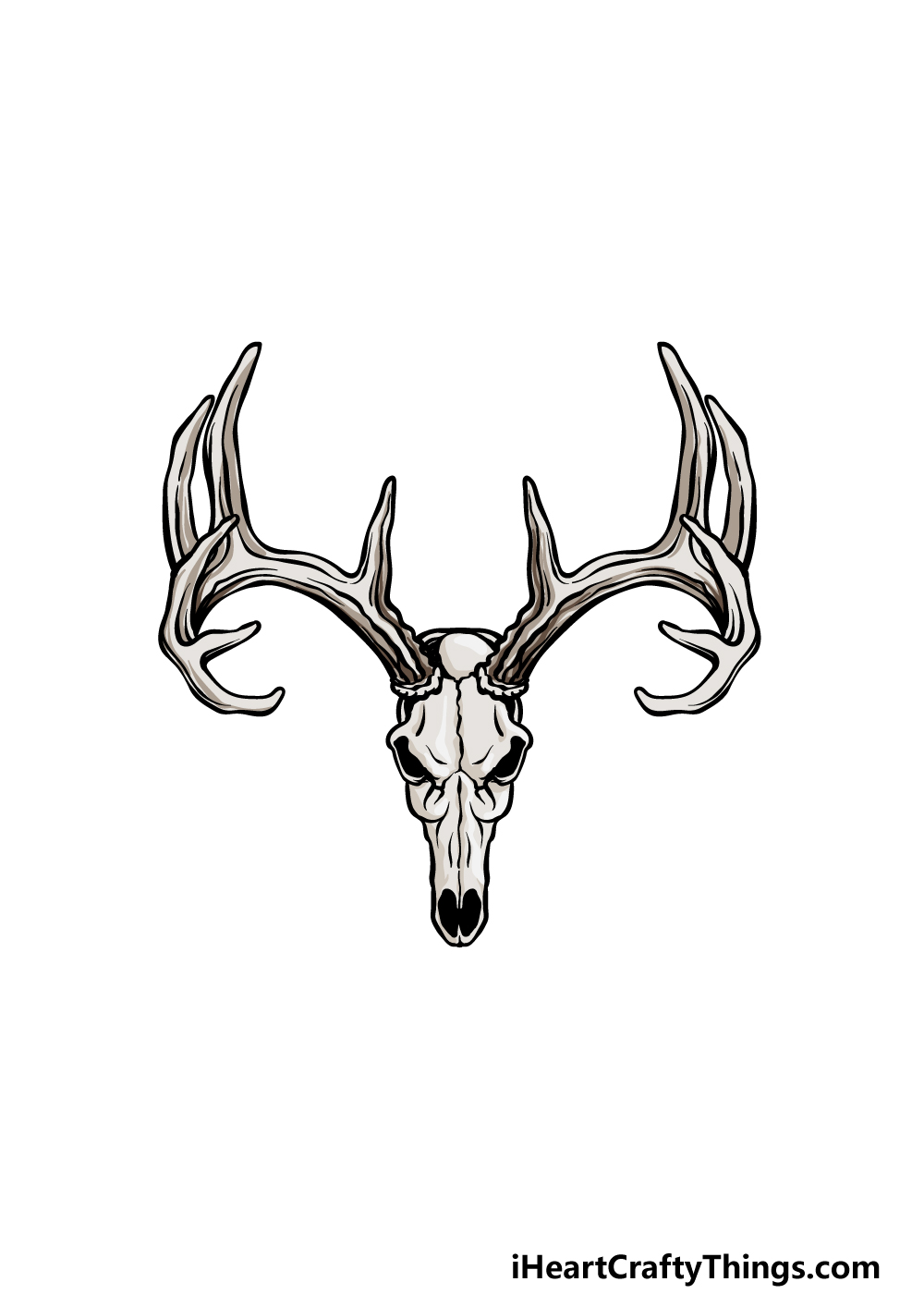 drawing deer skull step 6
