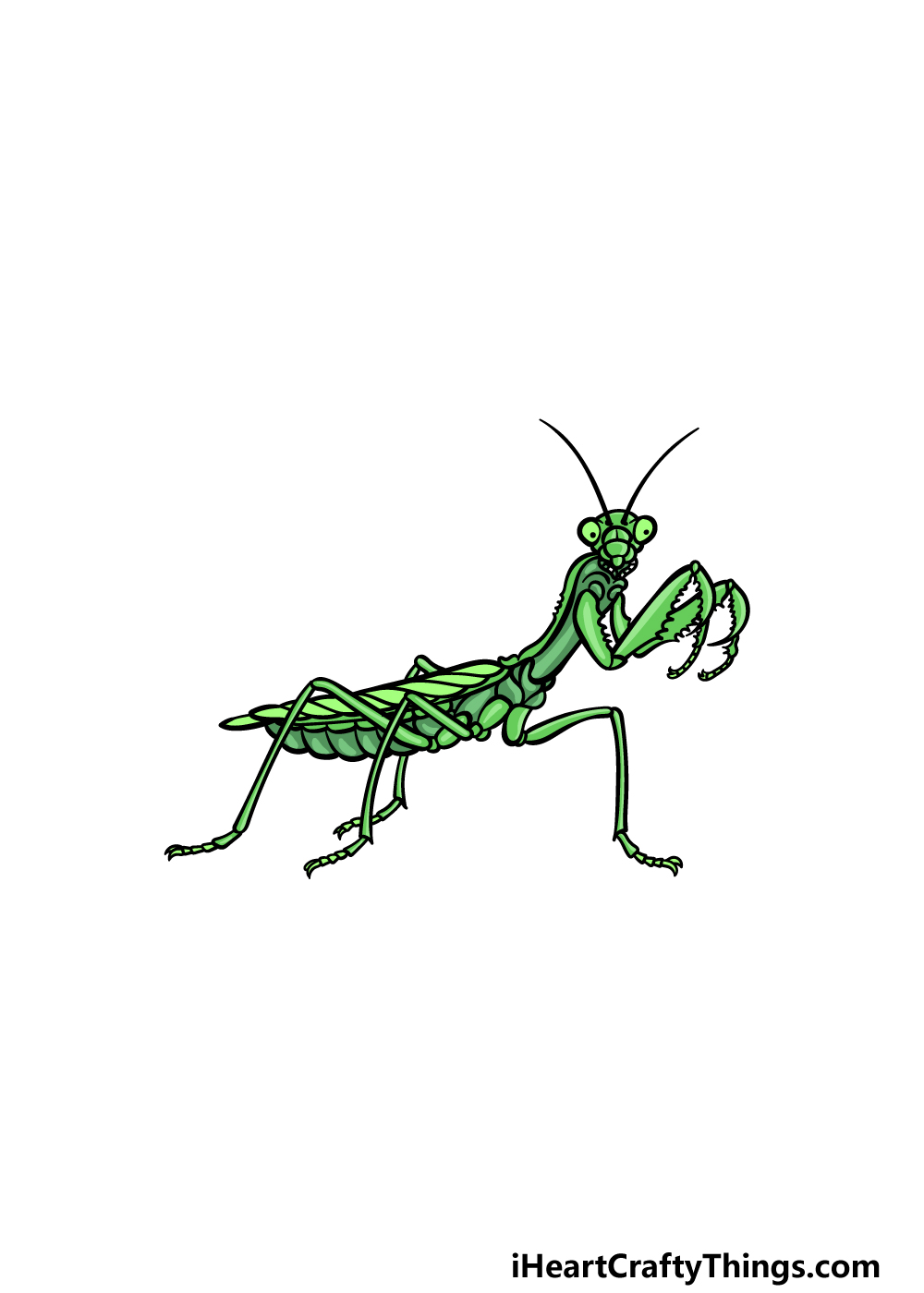 drawing an insect step 6