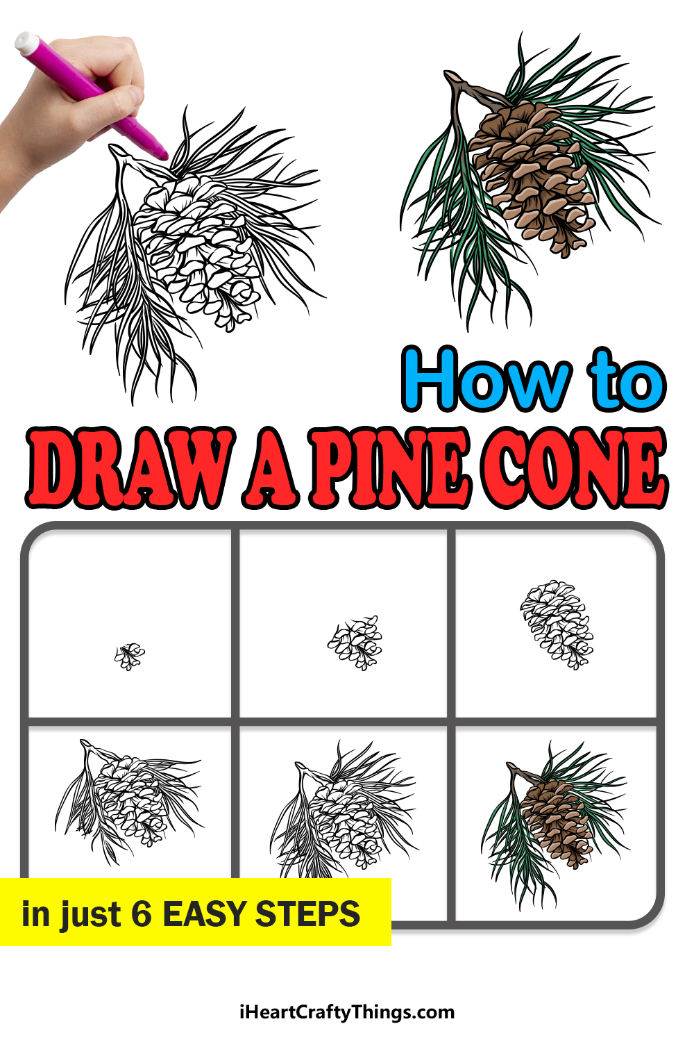 how to draw a pine cone in 6 easy steps