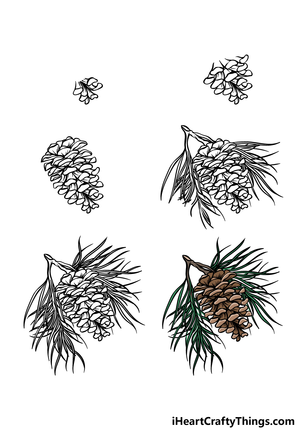 how to draw a pine cone in 6 steps