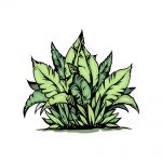 how to draw a bush image
