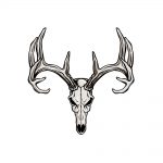 how to draw a deer skull image