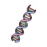 how to draw DNA image
