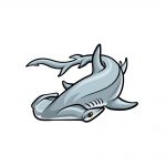 how to draw a hummerhead shark image