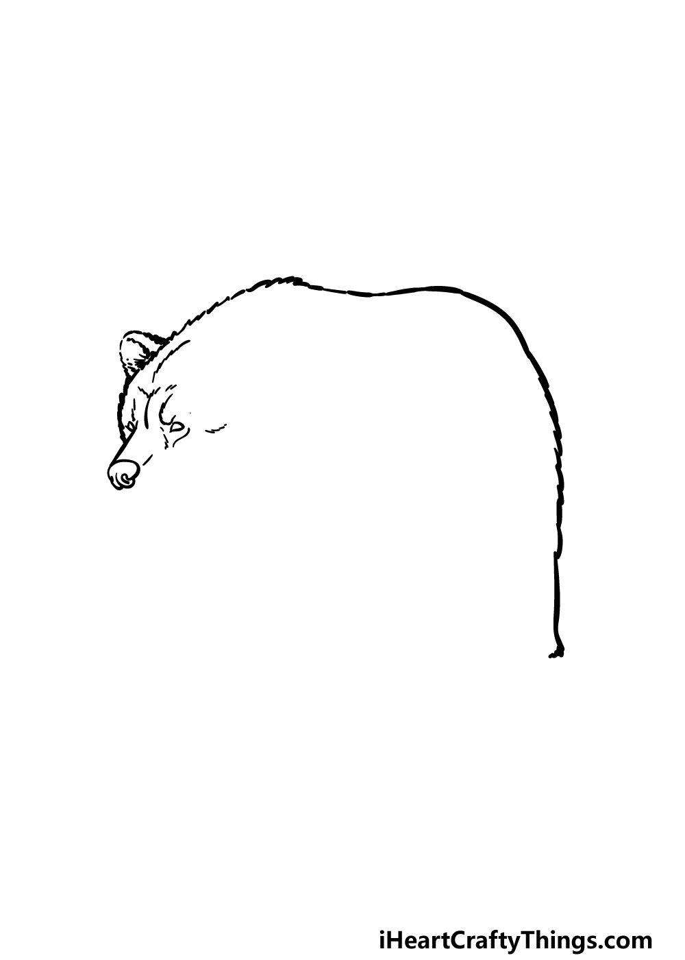 how to draw a grizzly bear step 1